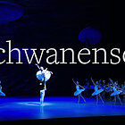 Trailer: Schwanensee