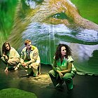 Wir Tiere