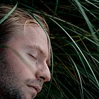Portrait von Linus Ebner